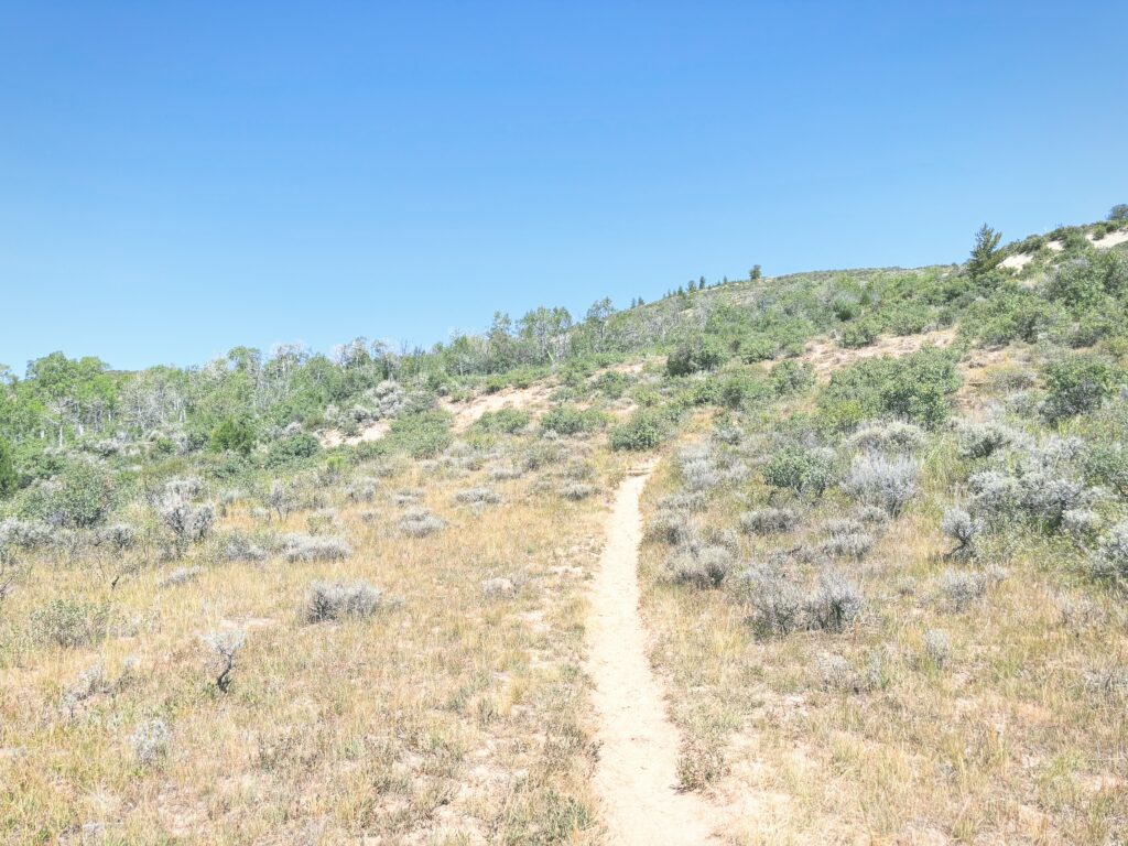 アメリカワイオミング州フォッシルビュート国定公園ossil Butte National Monument見どころ魅力トレイル・ハイキングモデルコース日本人観光