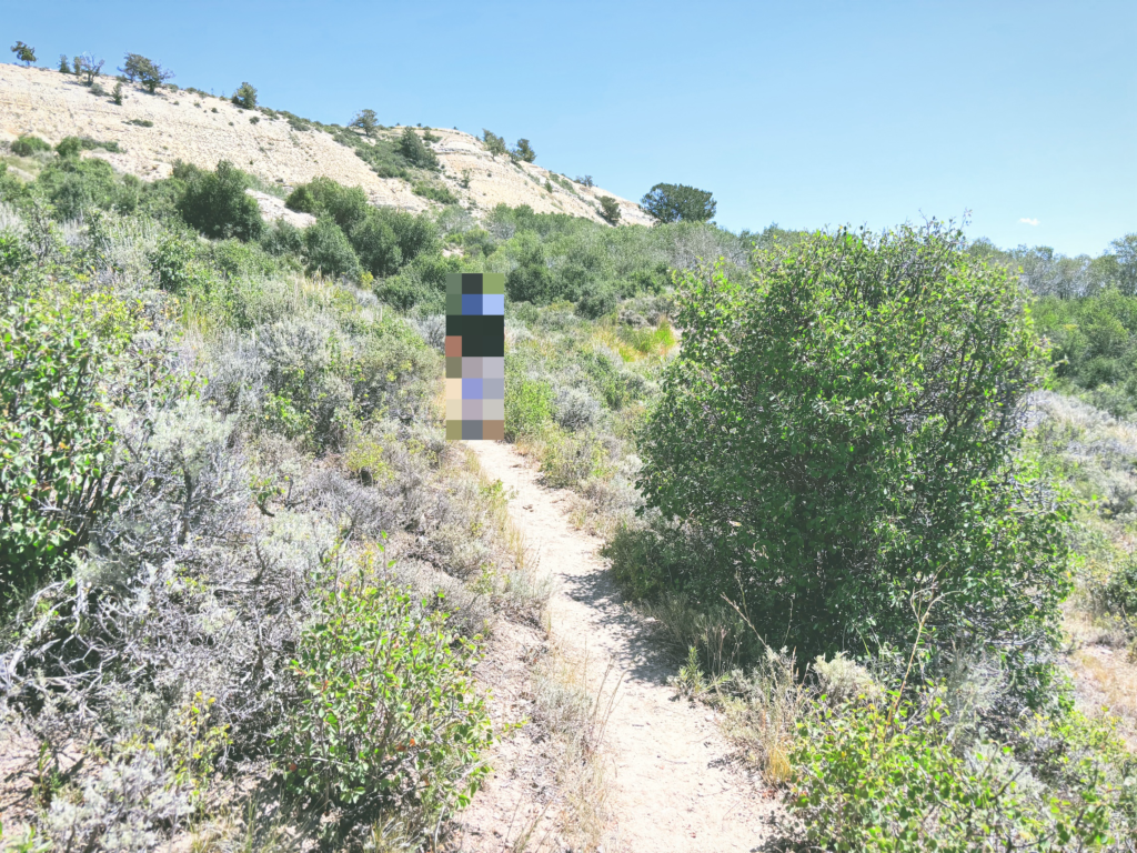 アメリカワイオミング州フォッシルビュート国定公園ossil Butte National Monument見どころ魅力トレイル・ハイキングモデルコース日本人観光