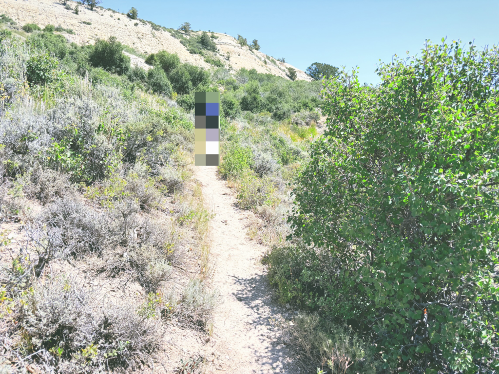 アメリカワイオミング州フォッシルビュート国定公園ossil Butte National Monument見どころ魅力トレイル・ハイキングモデルコース日本人観光