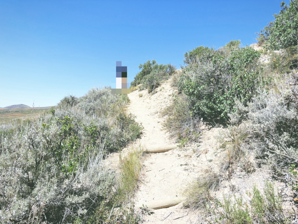 アメリカワイオミング州フォッシルビュート国定公園ossil Butte National Monument見どころ魅力トレイル・ハイキングモデルコース日本人観光