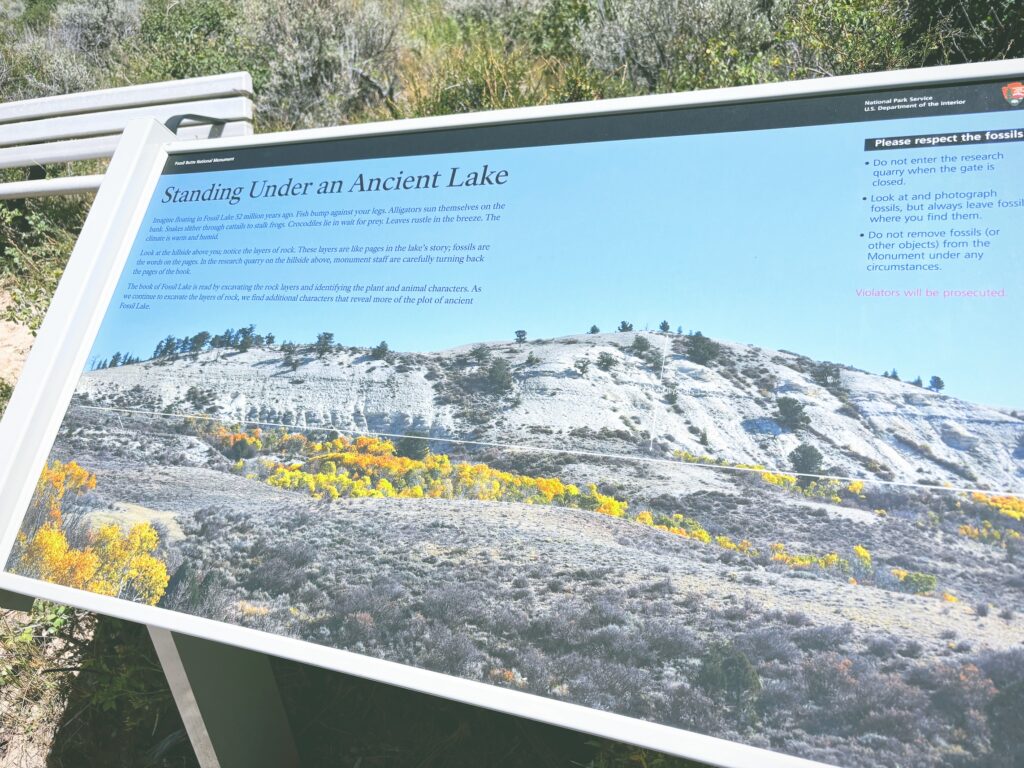 アメリカワイオミング州フォッシルビュート国定公園ossil Butte National Monument見どころ魅力トレイル・ハイキングモデルコース日本人観光