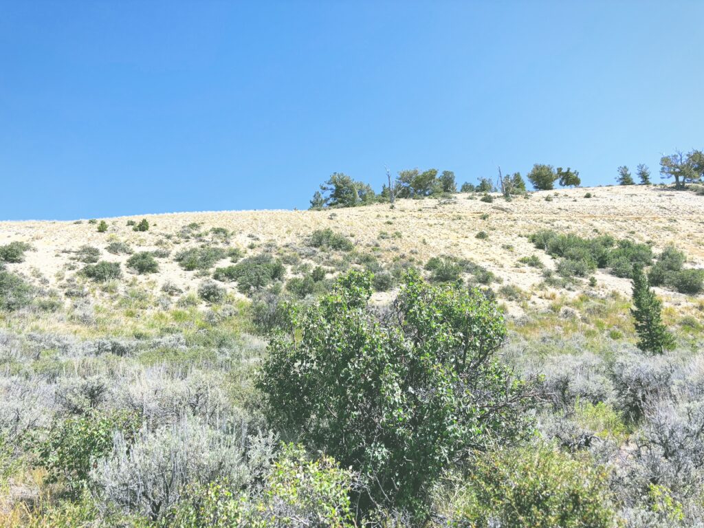 アメリカワイオミング州フォッシルビュート国定公園ossil Butte National Monument見どころ魅力トレイル・ハイキングモデルコース日本人観光