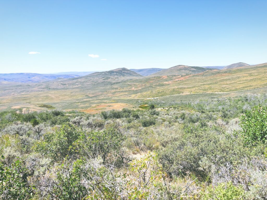 アメリカワイオミング州フォッシルビュート国定公園ossil Butte National Monument見どころ魅力トレイル・ハイキングモデルコース日本人観光