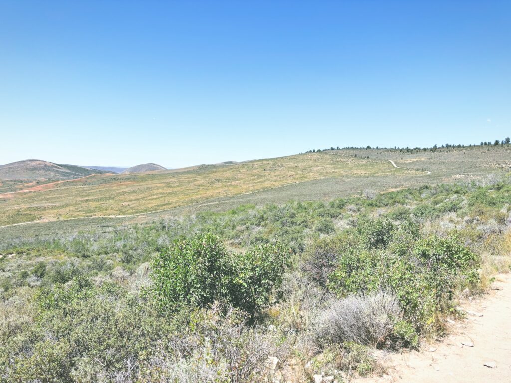 アメリカワイオミング州フォッシルビュート国定公園ossil Butte National Monument見どころ魅力トレイル・ハイキングモデルコース日本人観光