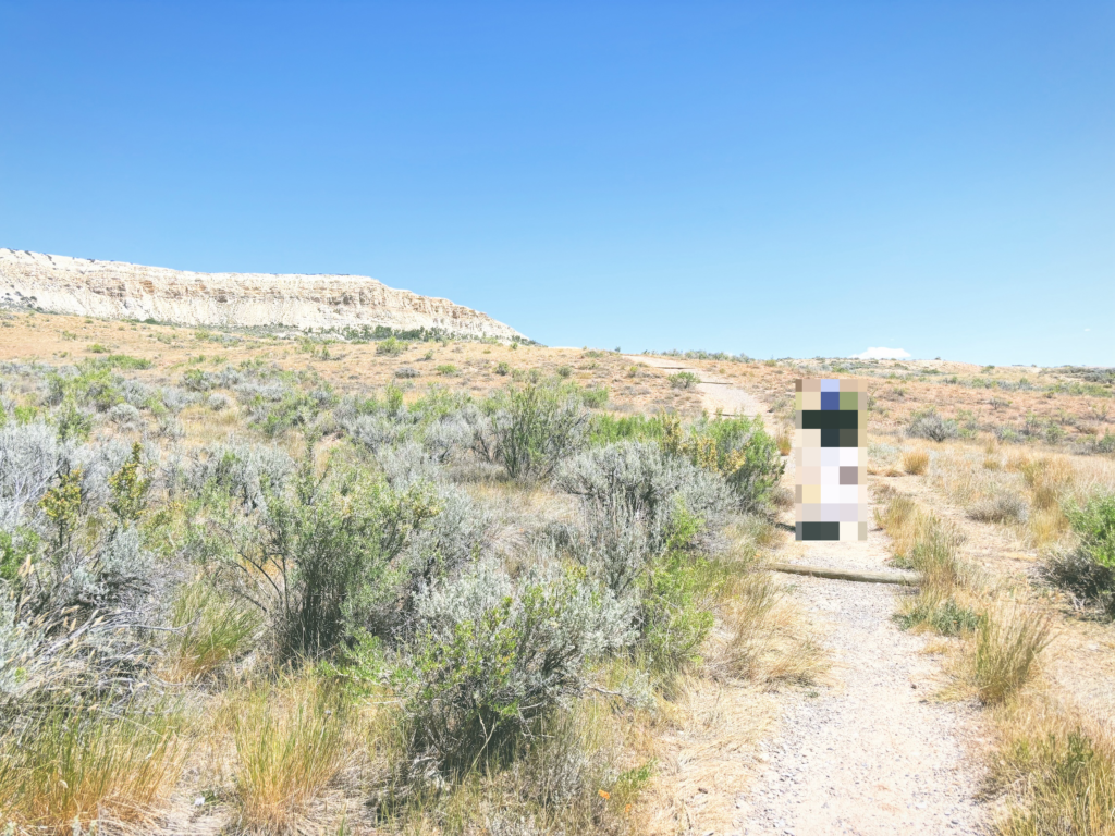 アメリカワイオミング州フォッシルビュート国定公園ossil Butte National Monument見どころ魅力トレイル・ハイキングモデルコース日本人観光