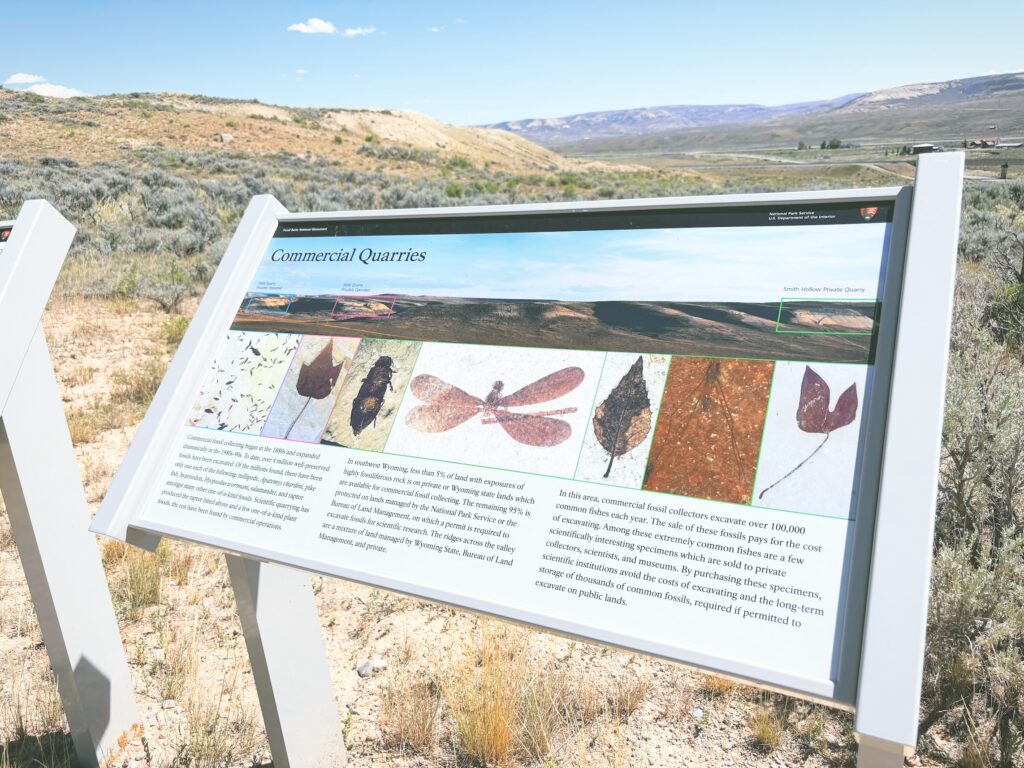 アメリカワイオミング州フォッシルビュート国定公園ossil Butte National Monument見どころ魅力トレイル・ハイキングモデルコース日本人観光