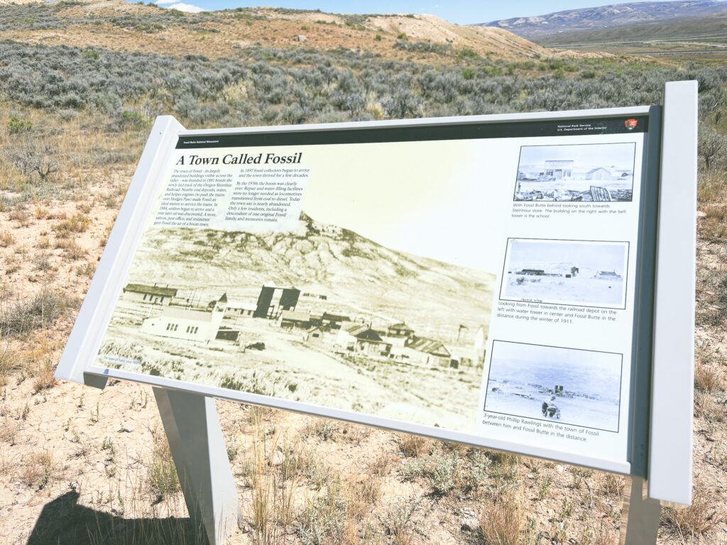 アメリカワイオミング州フォッシルビュート国定公園ossil Butte National Monument見どころ魅力トレイル・ハイキングモデルコース日本人観光