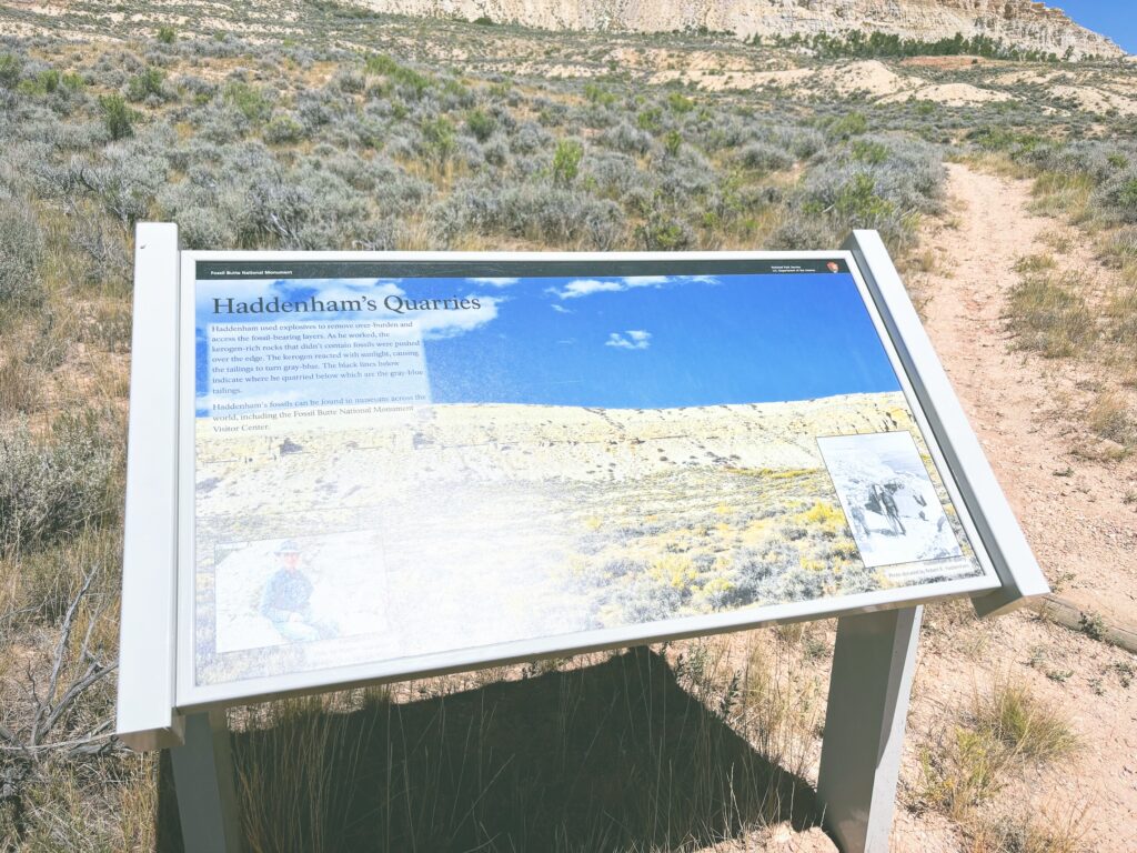 アメリカワイオミング州フォッシルビュート国定公園ossil Butte National Monument見どころ魅力トレイル・ハイキングモデルコース日本人観光