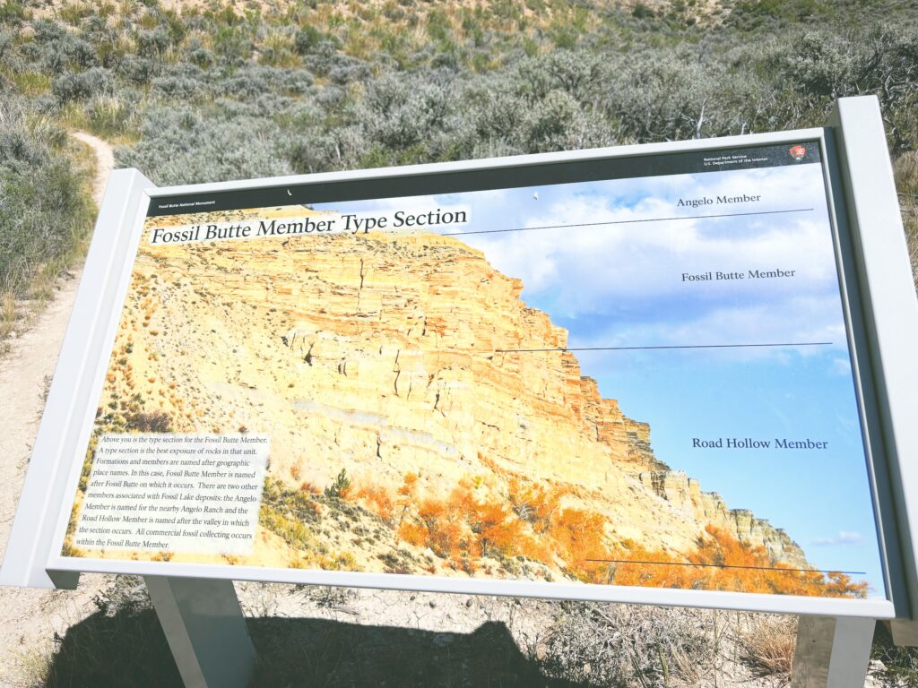 アメリカワイオミング州フォッシルビュート国定公園ossil Butte National Monument見どころ魅力トレイル・ハイキングモデルコース日本人観光