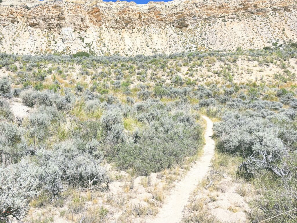 アメリカワイオミング州フォッシルビュート国定公園ossil Butte National Monument見どころ魅力トレイル・ハイキングモデルコース日本人観光