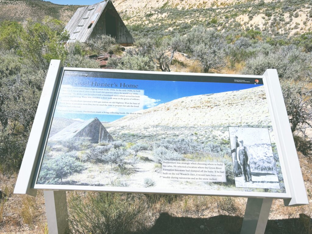 アメリカワイオミング州フォッシルビュート国定公園ossil Butte National Monument見どころ魅力トレイル・ハイキングモデルコース日本人観光