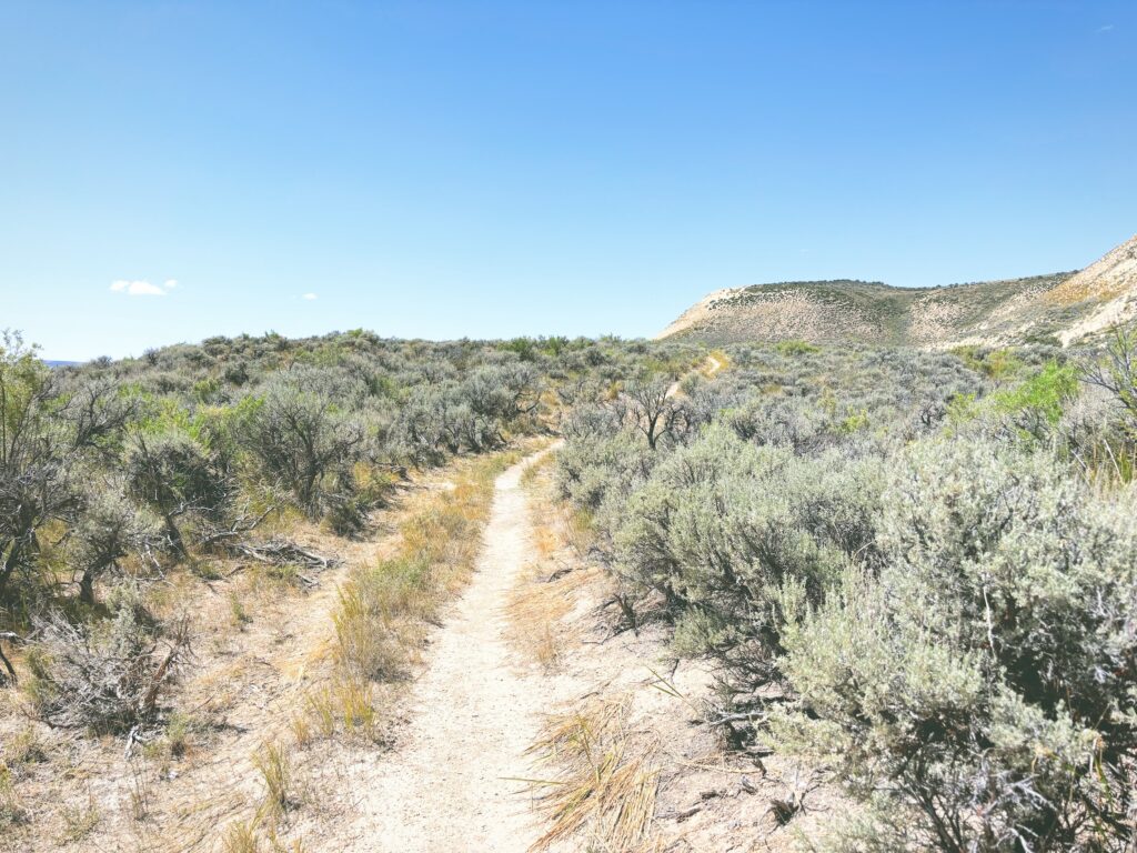 アメリカワイオミング州フォッシルビュート国定公園ossil Butte National Monument見どころ魅力トレイル・ハイキングモデルコース日本人観光