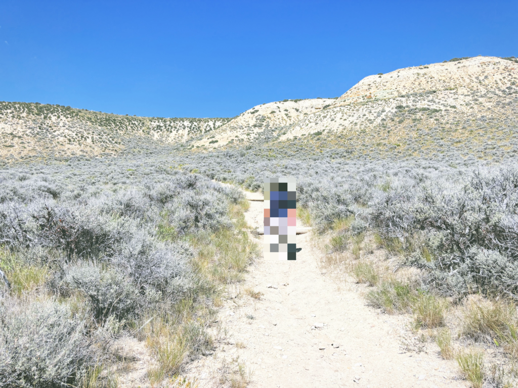 アメリカワイオミング州フォッシルビュート国定公園ossil Butte National Monument見どころ魅力トレイル・ハイキングモデルコース日本人観光