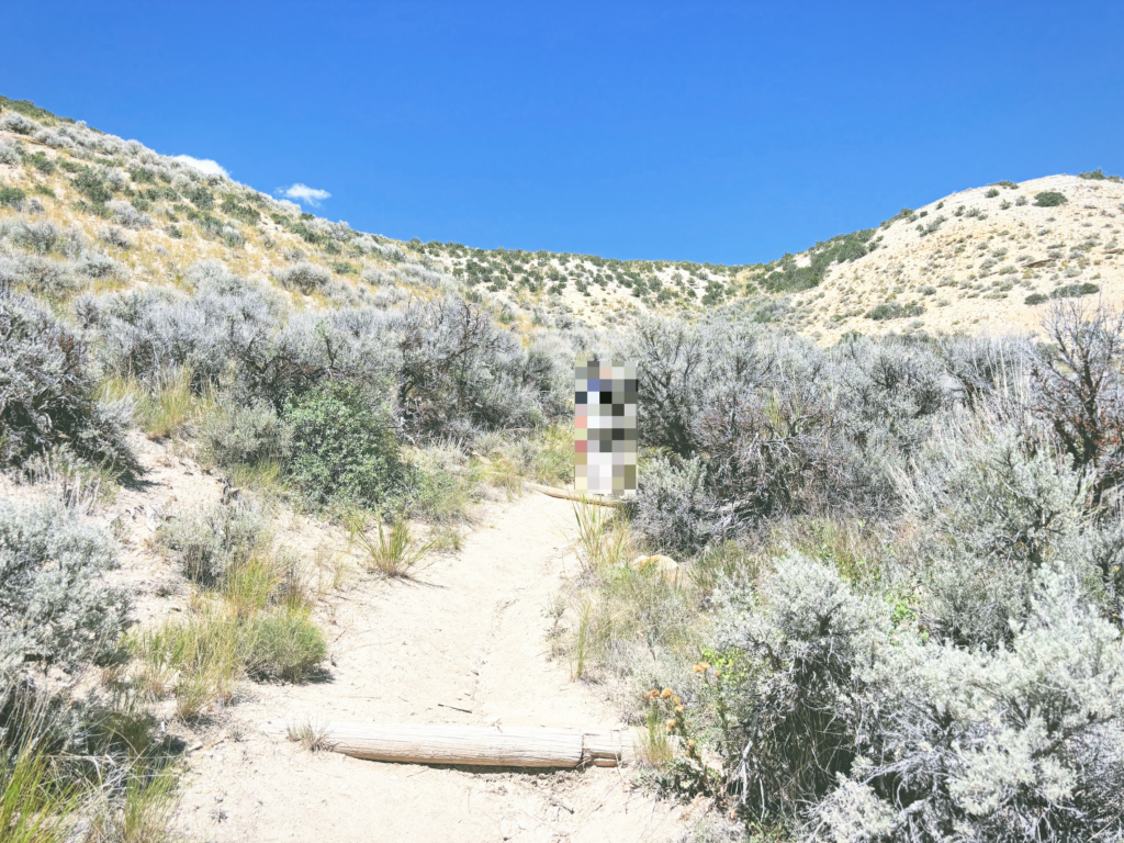 アメリカワイオミング州フォッシルビュート国定公園ossil Butte National Monument見どころ魅力トレイル・ハイキングモデルコース日本人観光