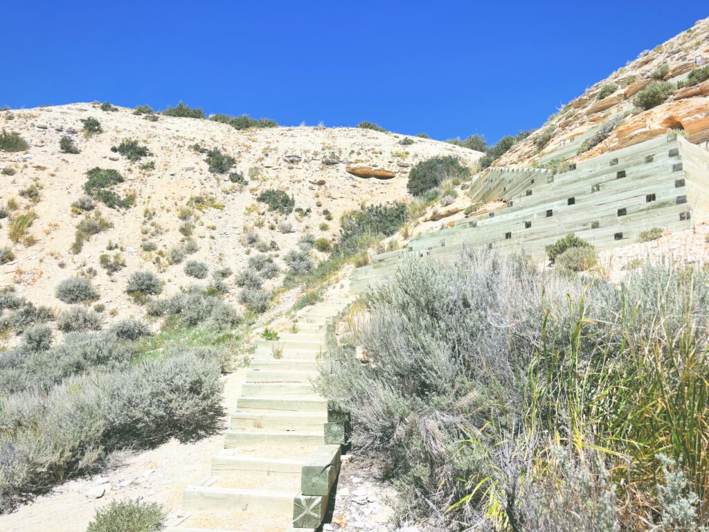 アメリカワイオミング州フォッシルビュート国定公園ossil Butte National Monument見どころ魅力トレイル・ハイキングモデルコース日本人観光