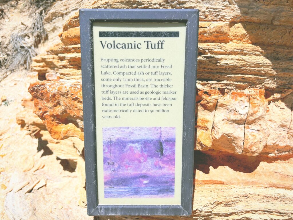 アメリカワイオミング州フォッシルビュート国定公園ossil Butte National Monument見どころ魅力トレイル・ハイキングモデルコース日本人観光