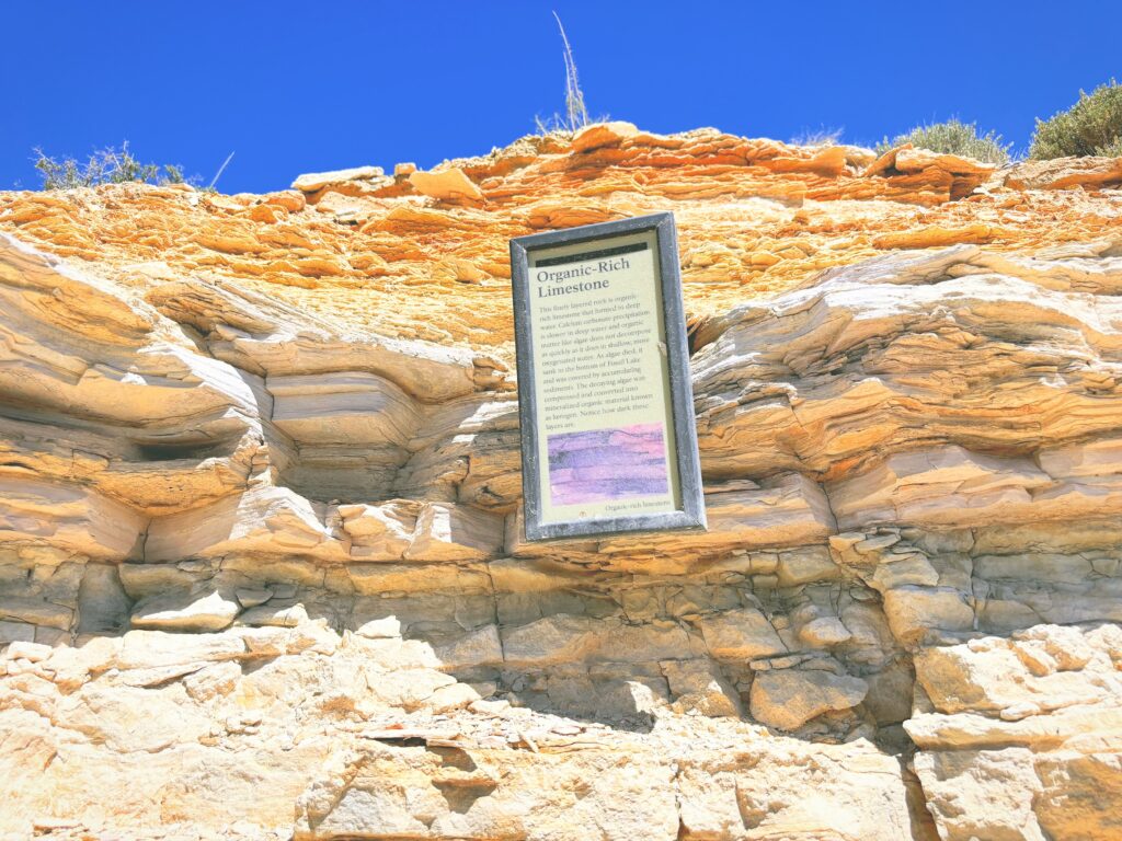 アメリカワイオミング州フォッシルビュート国定公園ossil Butte National Monument見どころ魅力トレイル・ハイキングモデルコース日本人観光