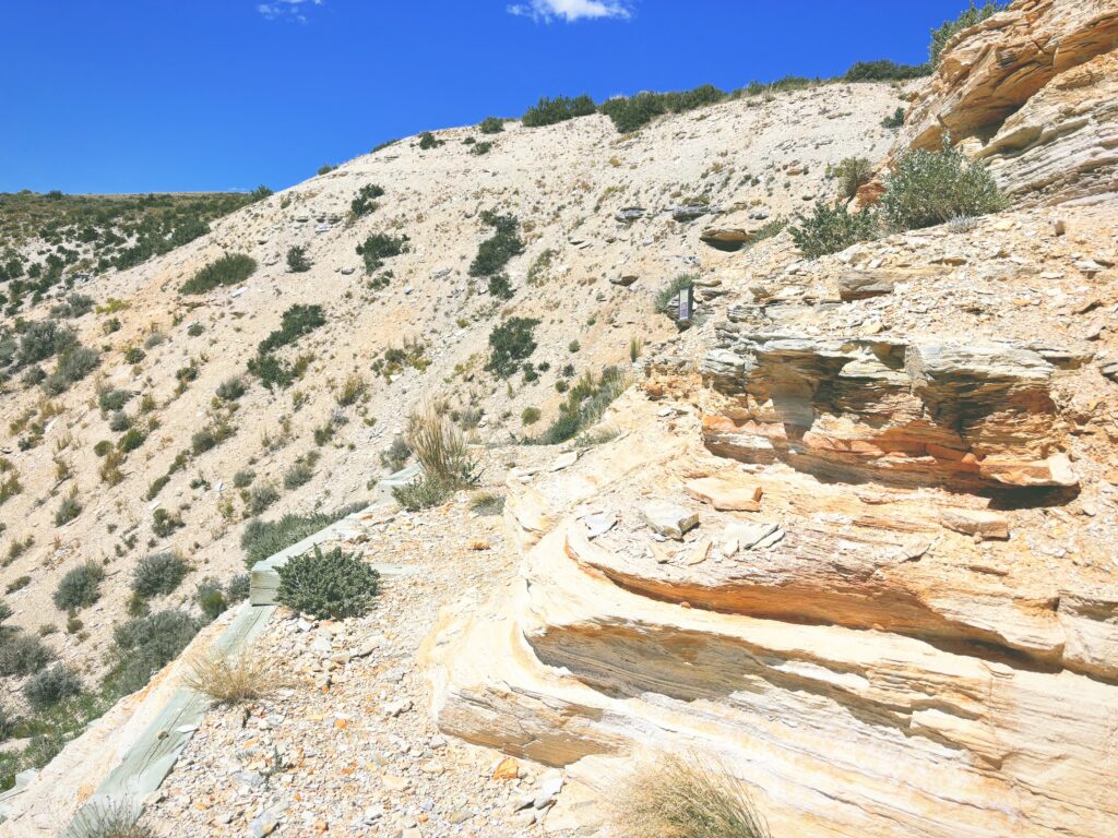 アメリカワイオミング州フォッシルビュート国定公園ossil Butte National Monument見どころ魅力トレイル・ハイキングモデルコース日本人観光