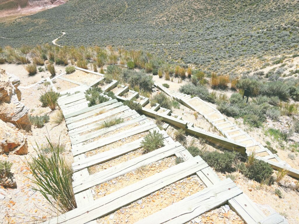 アメリカワイオミング州フォッシルビュート国定公園ossil Butte National Monument見どころ魅力トレイル・ハイキングモデルコース日本人観光