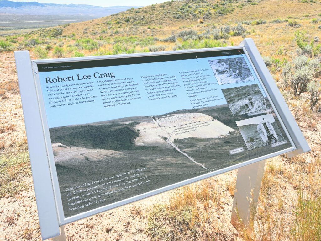 アメリカワイオミング州フォッシルビュート国定公園ossil Butte National Monument見どころ魅力トレイル・ハイキングモデルコース日本人観光