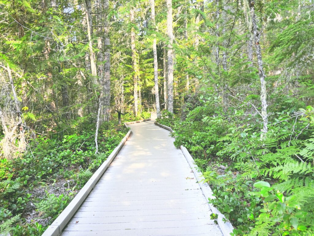 アメリカワシントン州マウントレーニア国立公園Mount Rainier National Park見どころ魅力トレイル・ハイキングモデルコース日本人観光