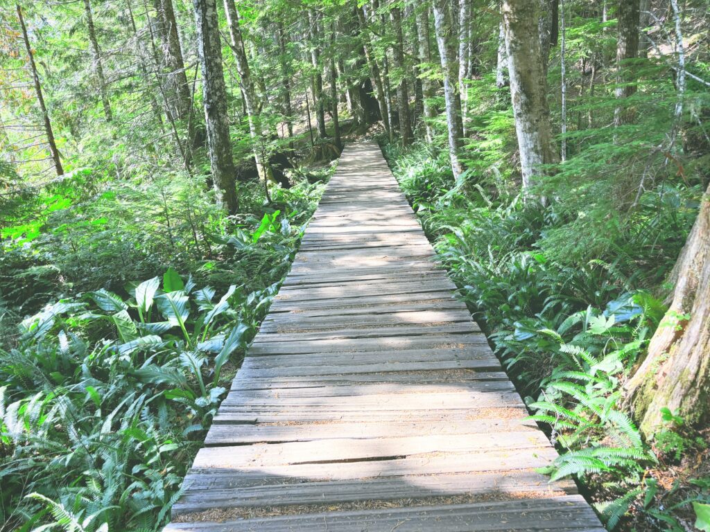 アメリカワシントン州マウントレーニア国立公園Mount Rainier National Park見どころ魅力トレイル・ハイキングモデルコース日本人観光