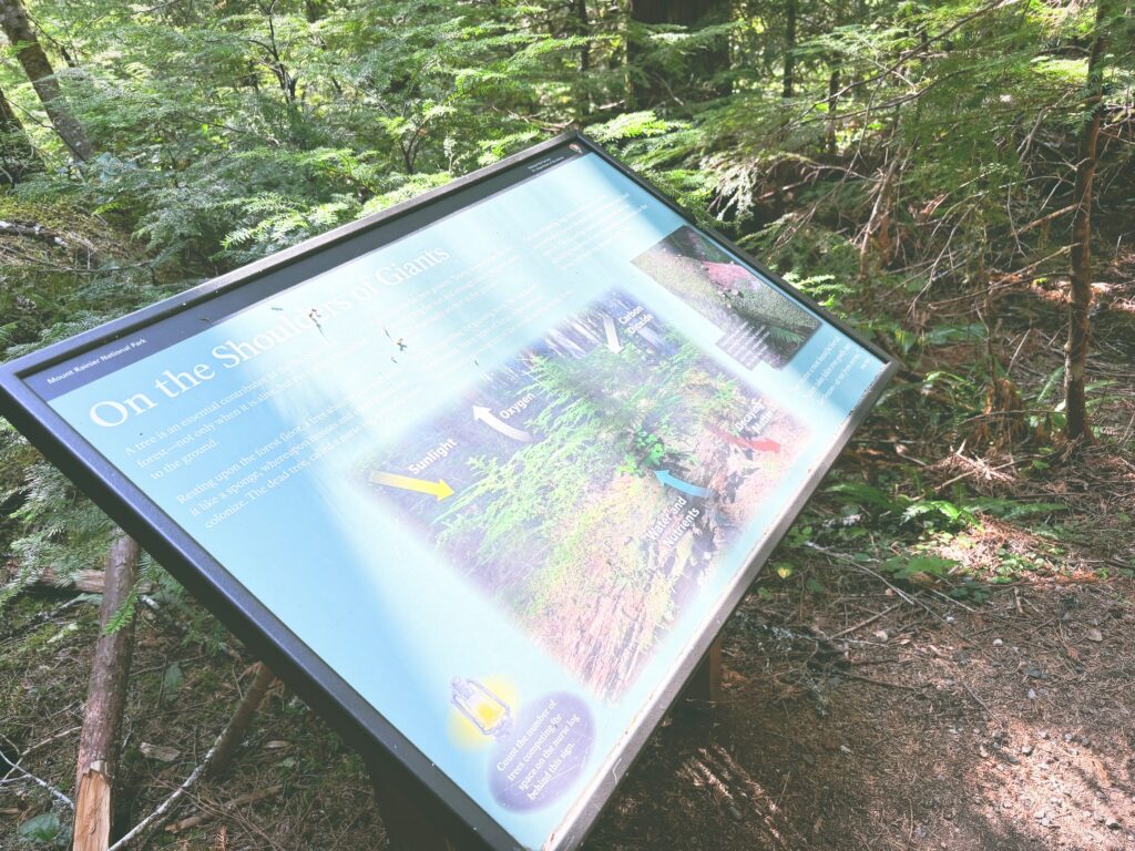 アメリカワシントン州マウントレーニア国立公園Mount Rainier National Park見どころ魅力トレイル・ハイキングモデルコース日本人観光