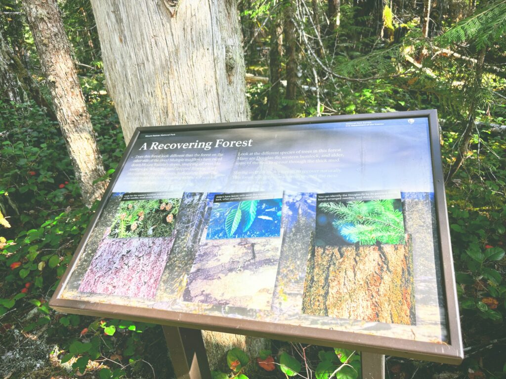 アメリカワシントン州マウントレーニア国立公園Mount Rainier National Park見どころ魅力トレイル・ハイキングモデルコース日本人観光