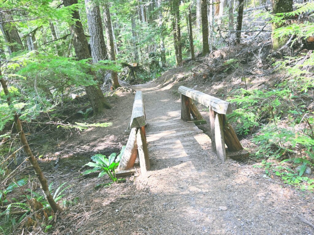 アメリカワシントン州マウントレーニア国立公園Mount Rainier National Park見どころ魅力トレイル・ハイキングモデルコース日本人観光