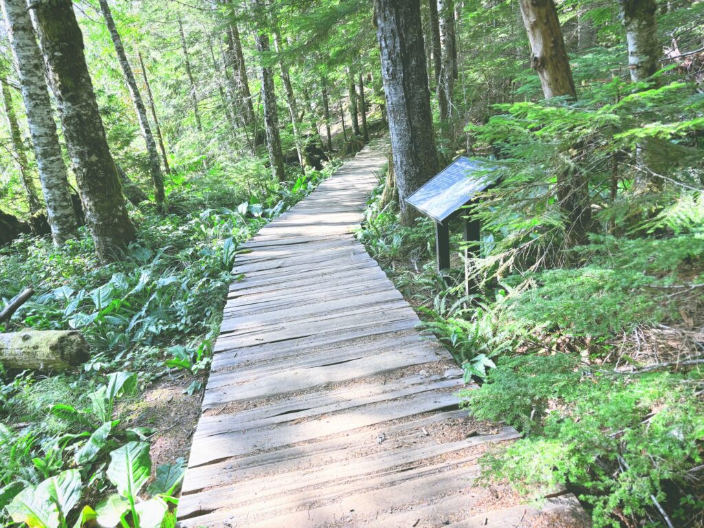 アメリカワシントン州マウントレーニア国立公園Mount Rainier National Park見どころ魅力トレイル・ハイキングモデルコース日本人観光