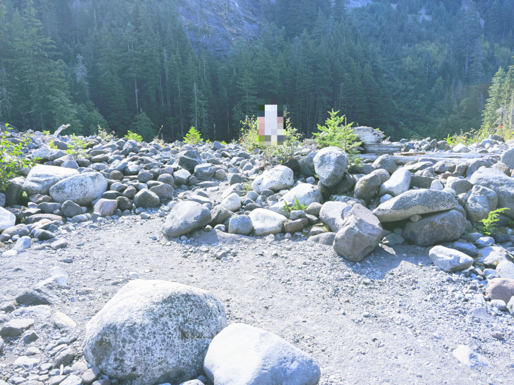 アメリカワシントン州マウントレーニア国立公園Mount Rainier National Park見どころ魅力トレイル・ハイキングモデルコース日本人観光