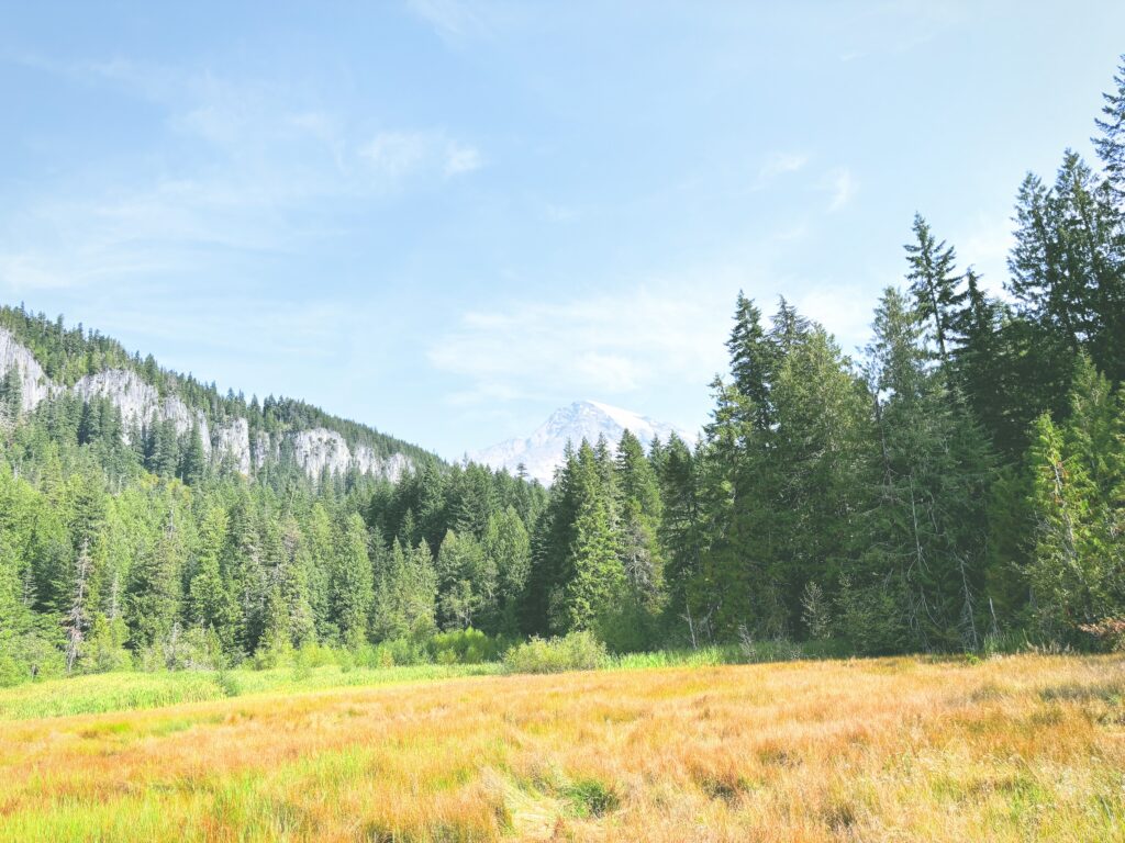 アメリカワシントン州マウントレーニア国立公園Mount Rainier National Park見どころ魅力トレイル・ハイキングモデルコース日本人観光