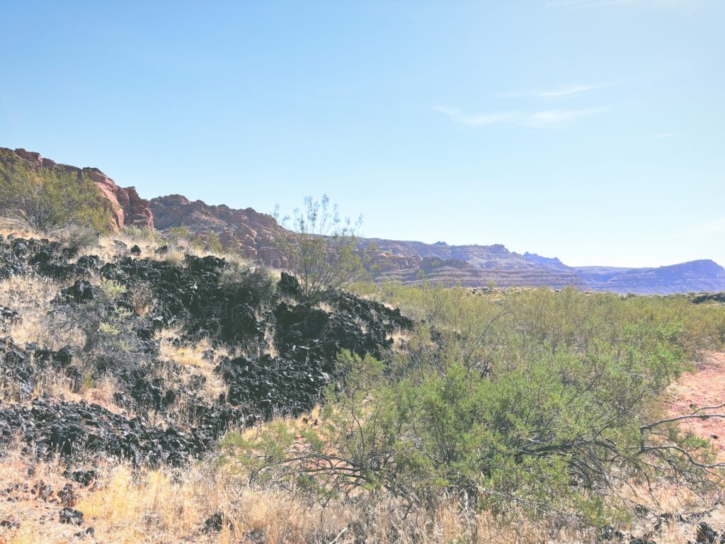 アメリカユタ州スノーキャニオン州立公園Snow Canyon State Park見どころ魅力トレイル・ハイキングモデルコース日本人観光