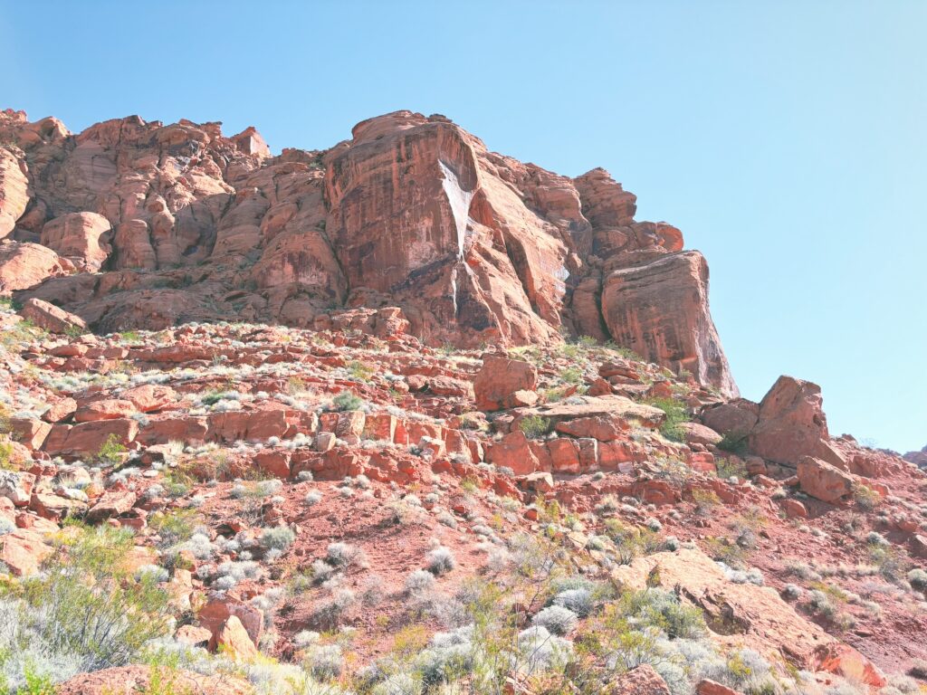 アメリカユタ州スノーキャニオン州立公園Snow Canyon State Park見どころ魅力トレイル・ハイキングモデルコース日本人観光