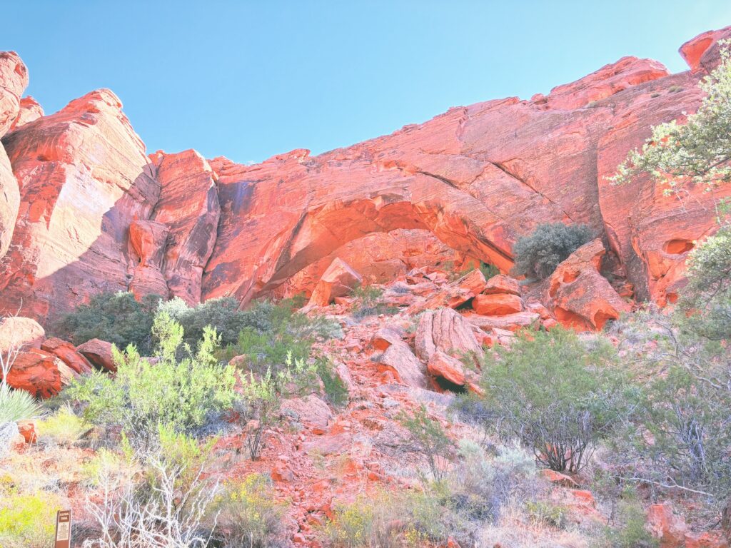 アメリカユタ州スノーキャニオン州立公園Snow Canyon State Park見どころ魅力トレイル・ハイキングモデルコース日本人観光