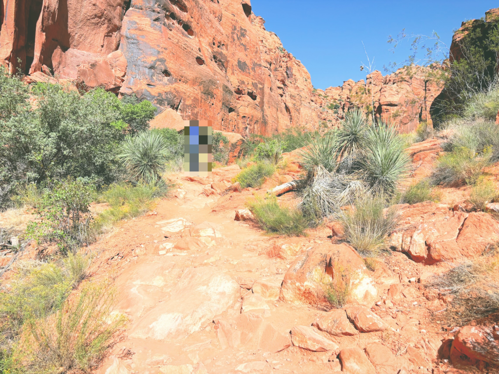 アメリカユタ州スノーキャニオン州立公園Snow Canyon State Park見どころ魅力トレイル・ハイキングモデルコース日本人観光