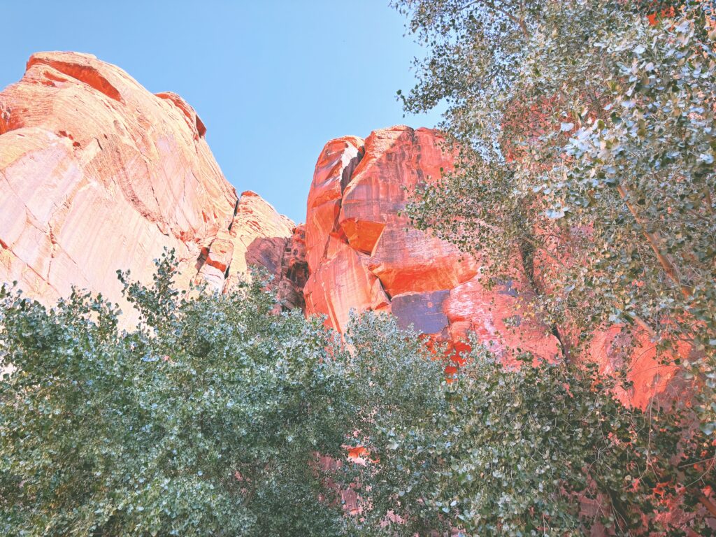 アメリカユタ州スノーキャニオン州立公園Snow Canyon State Park見どころ魅力トレイル・ハイキングモデルコース日本人観光