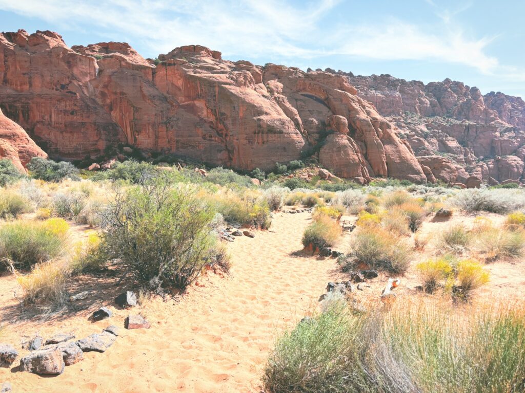 アメリカユタ州スノーキャニオン州立公園Snow Canyon State Park見どころ魅力トレイル・ハイキングモデルコース日本人観光