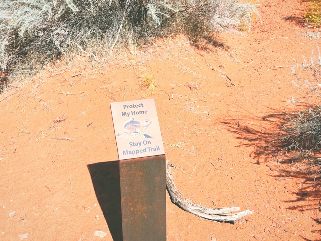 アメリカユタ州スノーキャニオン州立公園Snow Canyon State Park見どころ魅力トレイル・ハイキングモデルコース日本人観光