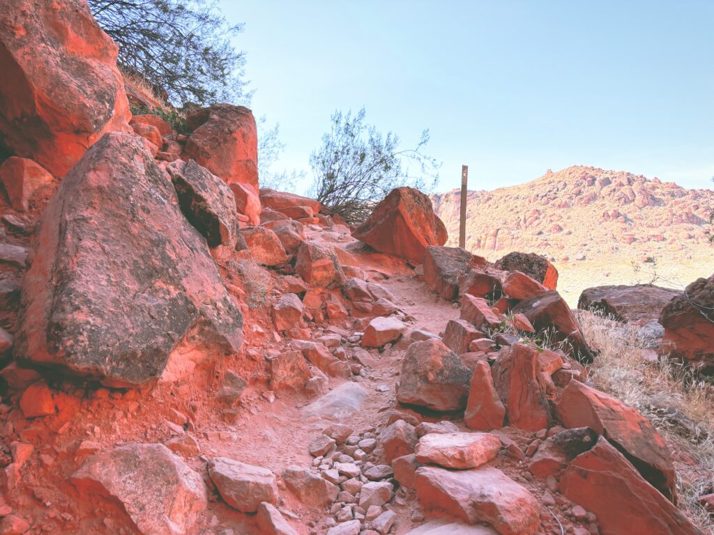 アメリカユタ州スノーキャニオン州立公園Snow Canyon State Park見どころ魅力トレイル・ハイキングモデルコース日本人観光