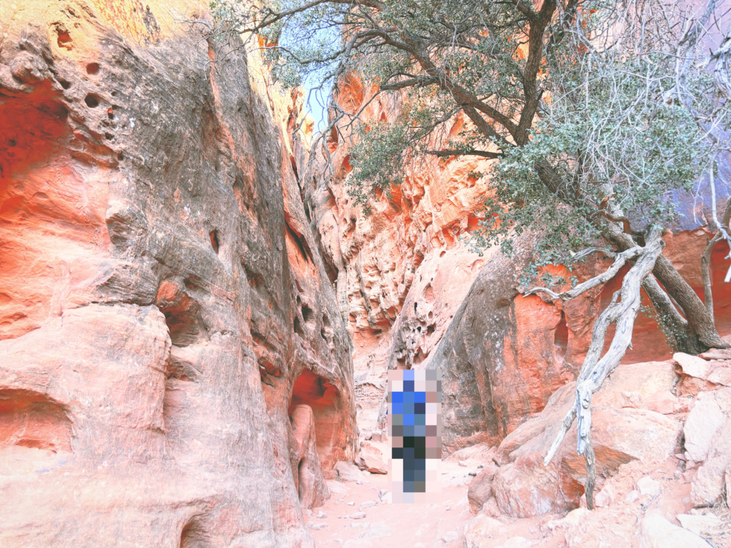 アメリカユタ州スノーキャニオン州立公園Snow Canyon State Park見どころ魅力トレイル・ハイキングモデルコース日本人観光