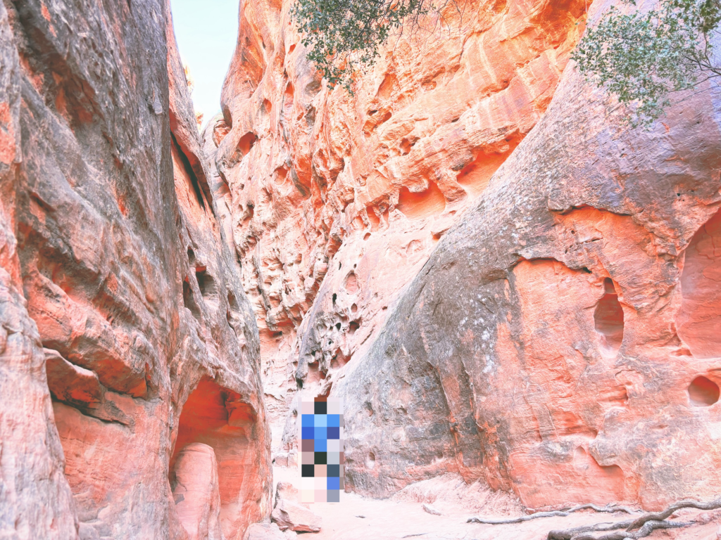 アメリカユタ州スノーキャニオン州立公園Snow Canyon State Park見どころ魅力トレイル・ハイキングモデルコース日本人観光