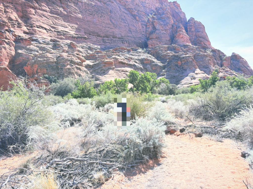 アメリカユタ州スノーキャニオン州立公園Snow Canyon State Park見どころ魅力トレイル・ハイキングモデルコース日本人観光