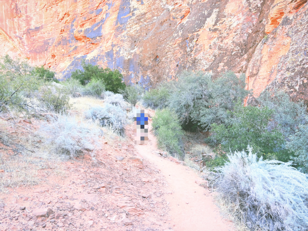 アメリカユタ州スノーキャニオン州立公園Snow Canyon State Park見どころ魅力トレイル・ハイキングモデルコース日本人観光