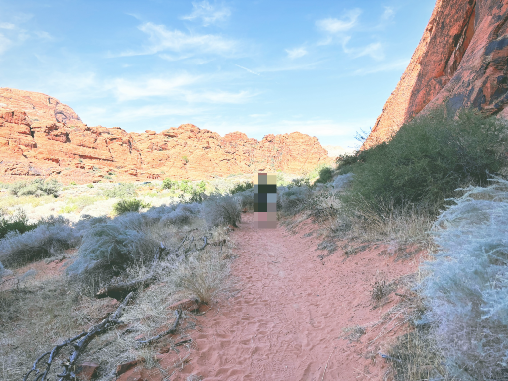 アメリカユタ州スノーキャニオン州立公園Snow Canyon State Park見どころ魅力トレイル・ハイキングモデルコース日本人観光