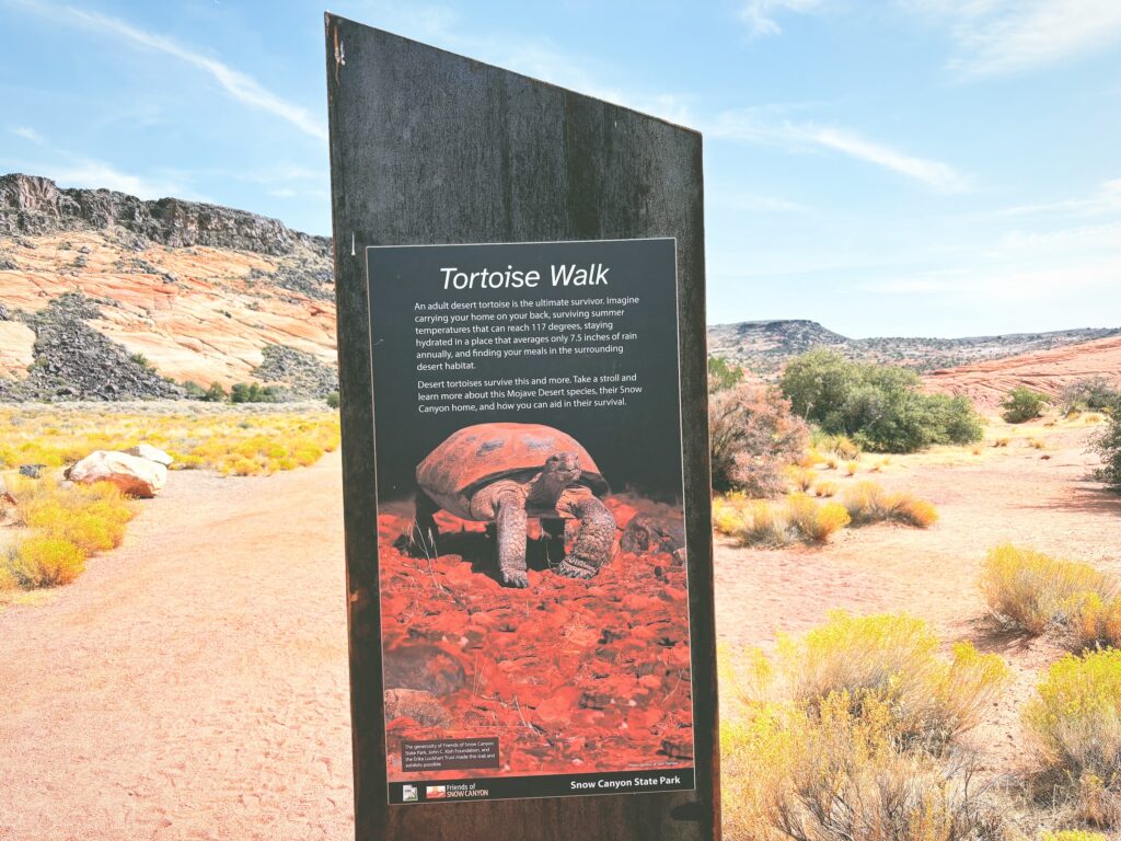 アメリカユタ州スノーキャニオン州立公園Snow Canyon State Park見どころ魅力トレイル・ハイキングモデルコース日本人観光