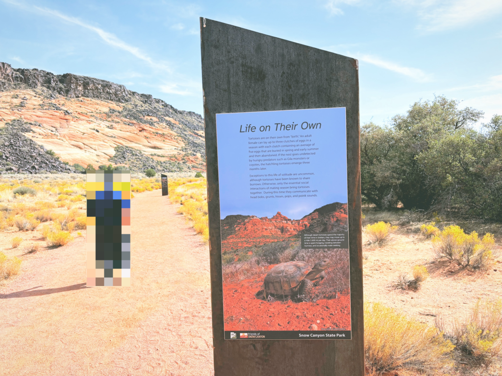 アメリカユタ州スノーキャニオン州立公園Snow Canyon State Park見どころ魅力トレイル・ハイキングモデルコース日本人観光