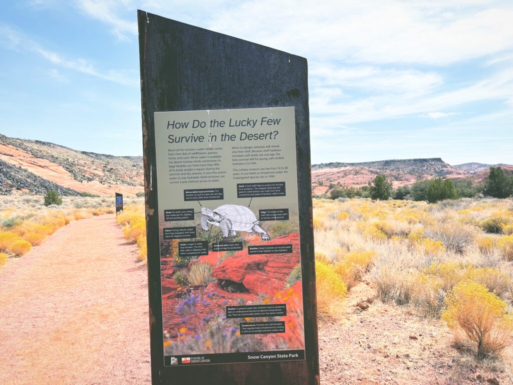 アメリカユタ州スノーキャニオン州立公園Snow Canyon State Park見どころ魅力トレイル・ハイキングモデルコース日本人観光