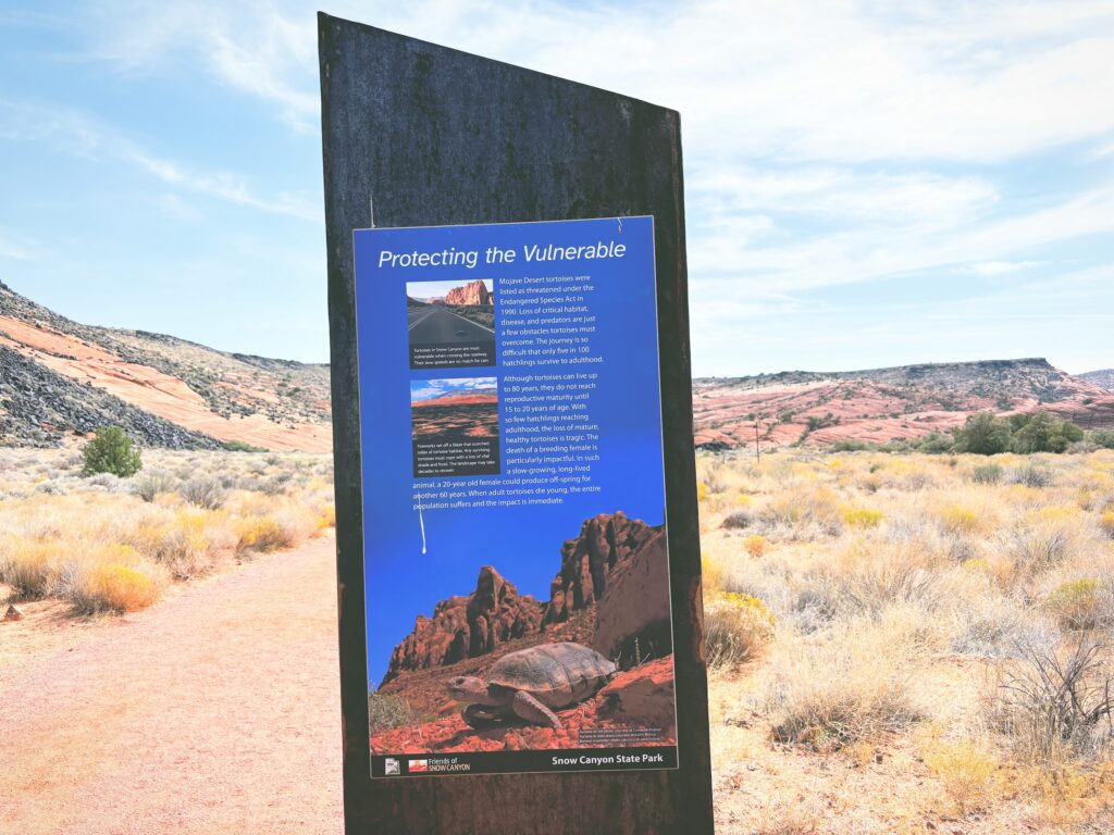 アメリカユタ州スノーキャニオン州立公園Snow Canyon State Park見どころ魅力トレイル・ハイキングモデルコース日本人観光