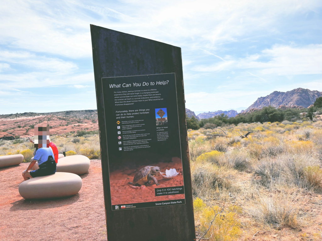 アメリカユタ州スノーキャニオン州立公園Snow Canyon State Park見どころ魅力トレイル・ハイキングモデルコース日本人観光